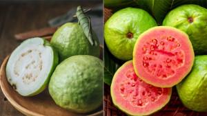 গোলাপি না সাদা, শরীরের জন্য কোন পেয়ারা উপকারী?