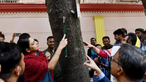 গাছে পেরেক ঠোকা বন্ধে হবে নতুন আইন: পরিবেশ উপদেষ্টা