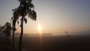 তেঁতুলিয়ায় তাপমাত্রা বাড়ল ১ ডিগ্রি