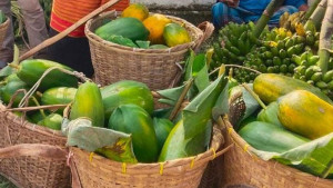 পাহাড়ি পেঁপের কদর শহরে