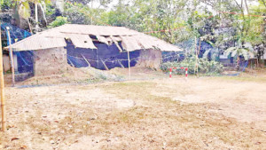 বিলাসের ‘বিবর্ণ প্রতীক’