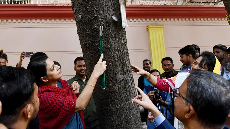 গাছে পেরেক ঠোকা বন্ধে হবে নতুন আইন: পরিবেশ উপদেষ্টা গাছে পেরেক ঠোকা বন্ধে হবে নতুন আইন: পরিবেশ উপদেষ্টা