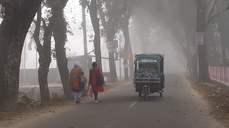 তেঁতুলিয়ায় তাপমাত্রা বাড়লেও কমেনি কুয়াশার দাপট তেঁতুলিয়ায় তাপমাত্রা বাড়লেও কমেনি কুয়াশার দাপট