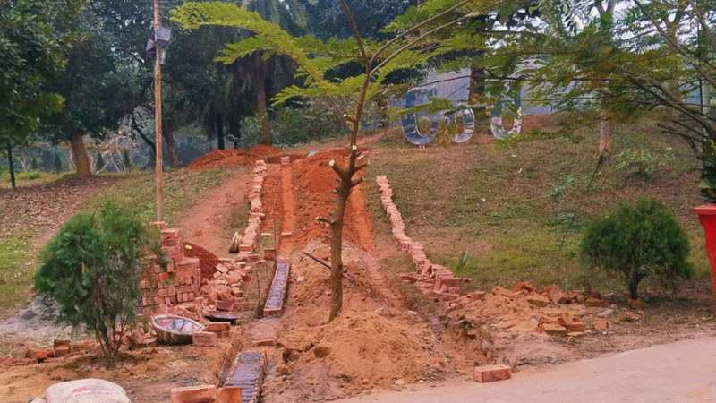 ভিত্তিপ্রস্তরের বলি হতে যাচ্ছে বিরল উদ্ভিদ ভিত্তিপ্রস্তরের বলি হতে যাচ্ছে বিরল উদ্ভিদ