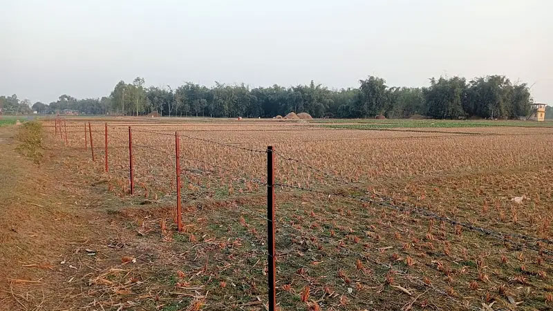 পাটগ্রাম সীমান্তে এবার বেড়া নির্মাণের চেষ্টা বিএসএফের পাটগ্রাম সীমান্তে এবার বেড়া নির্মাণের চেষ্টা বিএসএফের