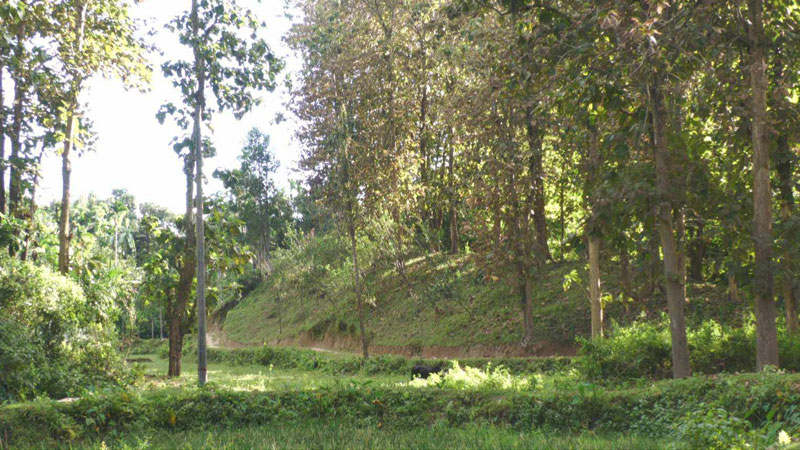 সাফারি পার্ক প্রকল্প বাতিলে দূর হয়েছে ভিটা হারানোর শঙ্কা সাফারি পার্ক প্রকল্প বাতিলে দূর হয়েছে ভিটা হারানোর শঙ্কা