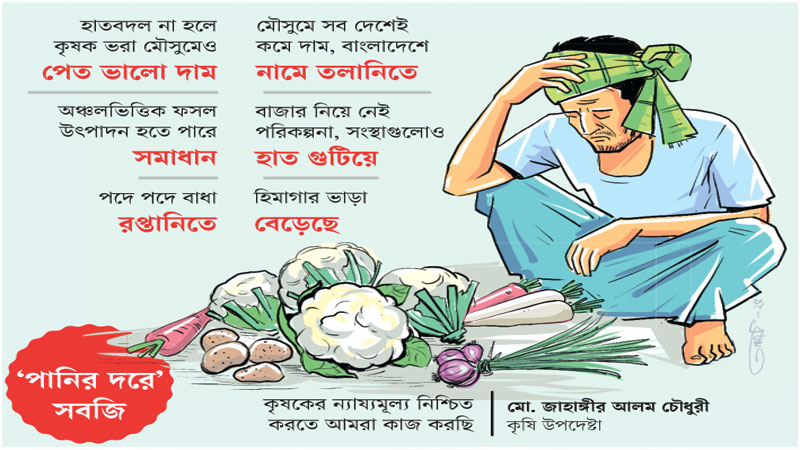 ভরপুর ফলনেও কাঁদছেন চাষি, পাশে নেই কেউ ভরপুর ফলনেও কাঁদছেন চাষি, পাশে নেই কেউ