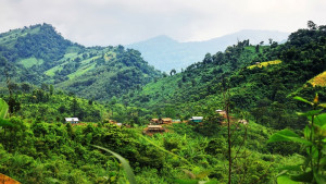রুমায় সেনাবাহিনীর অভিযান, কেএনএ কমান্ডারসহ নিহত ২