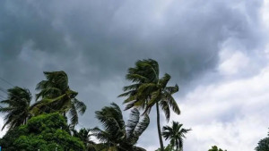 দেশের ৭ অঞ্চলে ঝড়ো হাওয়াসহ বৃষ্টির আভাস
