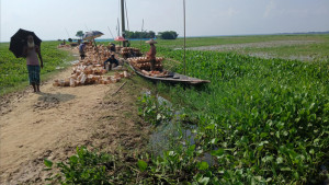 মৎস্যজীবীদের জীবিকার অবলম্বন কিরণমালা