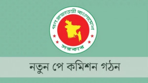 সরকারি পে কমিশন, অন্যদের কী?