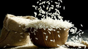 চালের পাত্রে পোকা ধরেছে? সমাধান মিলবে যেভাবে