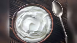 বর্ষাকালে দই খাওয়া কি ঠিক