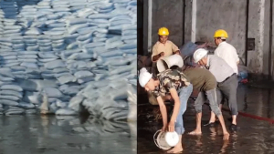 ভারতে এশিয়ার বৃহত্তম সরস্বতী সুগার মিল প্লাবিত