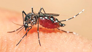 কিছু বিষয় জেনে রাখুন