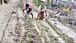 ৫ কিলোমিটার কাঁচা রাস্তায় দুর্ভোগে ১৪ গ্রামের মানুষ