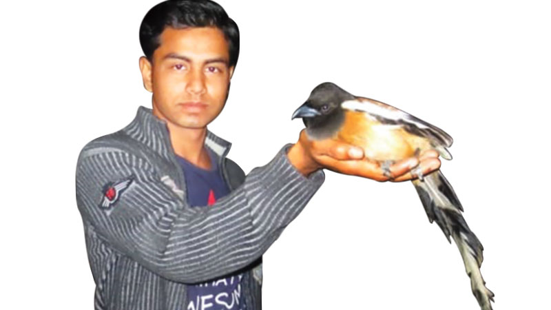 গাছ ও পাখির বন্ধু ফজলে রাব্বী গাছ ও পাখির বন্ধু ফজলে রাব্বী