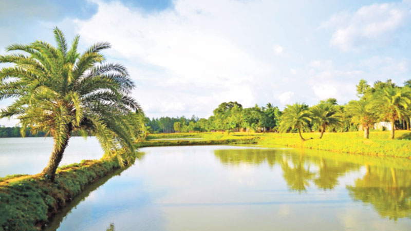৫০০ বছরের সাক্ষী জয়সাগর দিঘি ৫০০ বছরের সাক্ষী জয়সাগর দিঘি