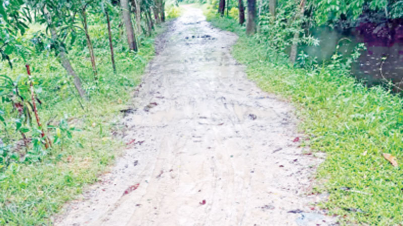 আধা কিলোমিটার সড়কে ছয় গ্রামের মানুষের কষ্ট আধা কিলোমিটার সড়কে ছয় গ্রামের মানুষের কষ্ট