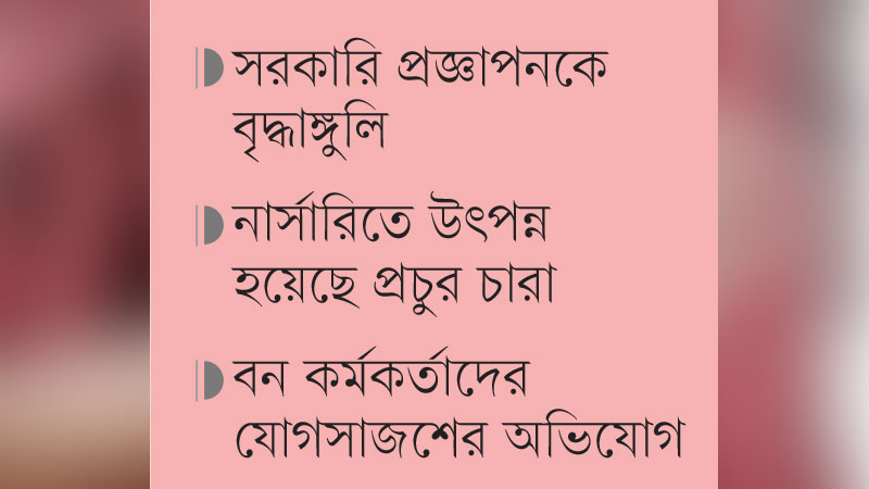 নিষিদ্ধ গাছে ছেয়ে যাচ্ছে বনের জমি নিষিদ্ধ গাছে ছেয়ে যাচ্ছে বনের জমি