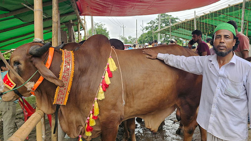 ‘টাইগার’ ও ‘কালা মানিক’ নিয়ে বিপাকে ব্যবসায়ী ‘টাইগার’ ও ‘কালা মানিক’ নিয়ে বিপাকে ব্যবসায়ী