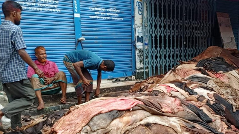 কোরবানির চামড়া: টোটকা দাওয়াই কি উপকারে আসবে? কোরবানির চামড়া: টোটকা দাওয়াই কি উপকারে আসবে?