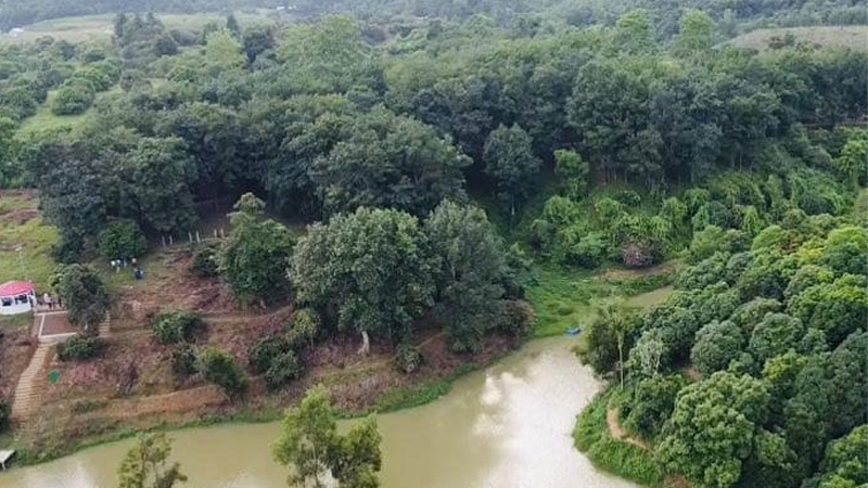 মানিকছড়িতে ডিসি অ্যাডভেঞ্চার পার্ক পেল জাতীয় বৃক্ষরোপণ পুরস্কার মানিকছড়িতে ডিসি অ্যাডভেঞ্চার পার্ক পেল জাতীয় বৃক্ষরোপণ পুরস্কার