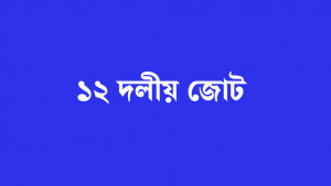 ড. ইউনূস ও তারেকের বৈঠক জাতির জন্য স্বস্তির বার্তা: ১২ দলীয় জোট