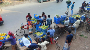ঈদের ছুটিতে রাজশাহীতে কমল আমের দাম