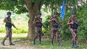 সীমান্তে চামড়া পাচার ও পুশইন রোধে সতর্ক বিজিবি