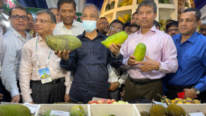 ফলে ফলে ভরা মেলা: দেশি ফলের উৎসবে পুষ্টির আহ্বান