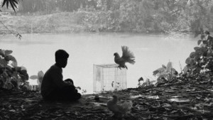 রাশিয়ার কাজান উৎসবে বাংলাদেশের ‘দ্য পেয়ার অব হোয়াইট পিজন্স’