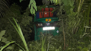শিয়ালের সঙ্গে ধাক্কায় সিএনজিচালিত অটোরিকশা উল্টে স্ত্রীর মৃত্যু, আহত স্বামী