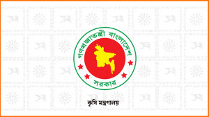 নতুন তিন জাতের ধান আনলো ব্রি