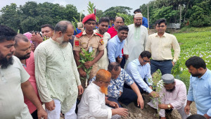 আলফাডাঙ্গায় কর্দমাক্ত কাঁচা সড়কে বিছানো হলো ইট, ৪০০ বৃক্ষরোপণ