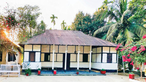 হাওরতীরের ব্যাটনবাড়ি