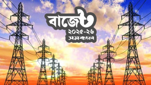 বিদ্যুতের মূল্য আপাতত বাড়বে না 