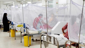 ডেঙ্গুতে আরও ২ জনের মৃত্যু