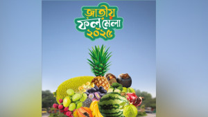 রাজধানীতে তিন দিনের ফল মেলা শুরু বৃহস্পতিবার