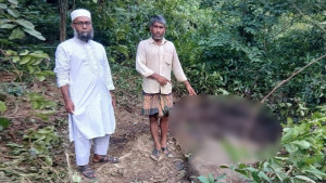 জঙ্গলে পড়েছিল বন্যহাতির শাবক, ঘিরে রাখল অন্য হাতিরা
