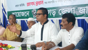 নির্বাচনের আগে গুরুত্বপূর্ণ মৌলিক সংস্কার হতে হবে: রাশেদ প্রধান