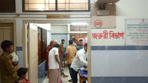 শৈলকুপায় কুকুরের কামড়ে শিশুসহ আহত ১৭, হাসপাতালে নেই ভ্যাকসিন