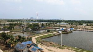 কৈগরদাসকাঠি চরে জীবিকার সংকট
