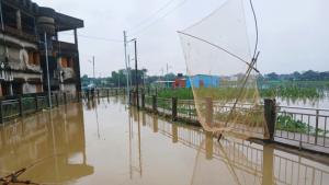জলজট সংকটে দুই জেলা শহর