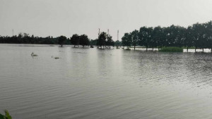ঈদ যাত্রায় সন্তানকে বাঁচাতে প্রাণ গেল মায়ের