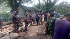 স’ মিলে টাস্কফোর্সের অভিযানে ৩২ লাখ টাকার কাঠ জব্দ, জরিমানা