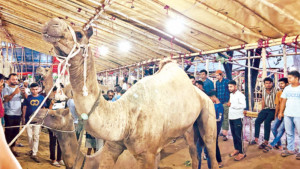 ‘পথের বিপদ’ এবার কম