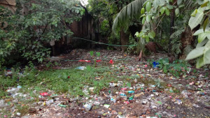 এটি ভাগাড় নয়, একটি খাল