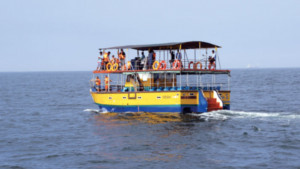 সিংহল সমুদ্রে তিমিদর্শন