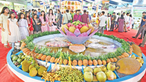 দেশি ফলের মৌতাত